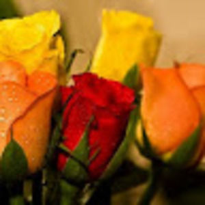 Meet your Posher, Onis